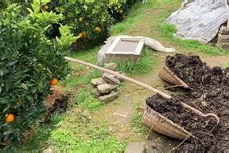 浸泡过的草木灰水和海绿素叶面肥一块用吗