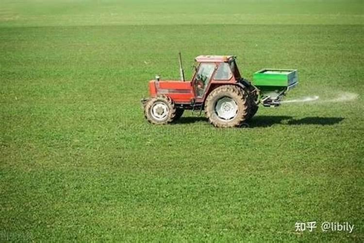 关于化肥的使用是利大于弊还是弊大于利？最好能详细点