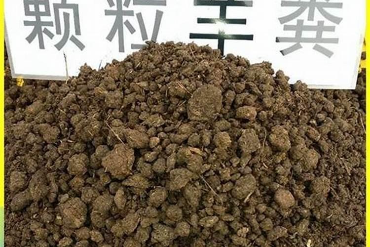 南乐县裕民牧业有限公司怎么样？