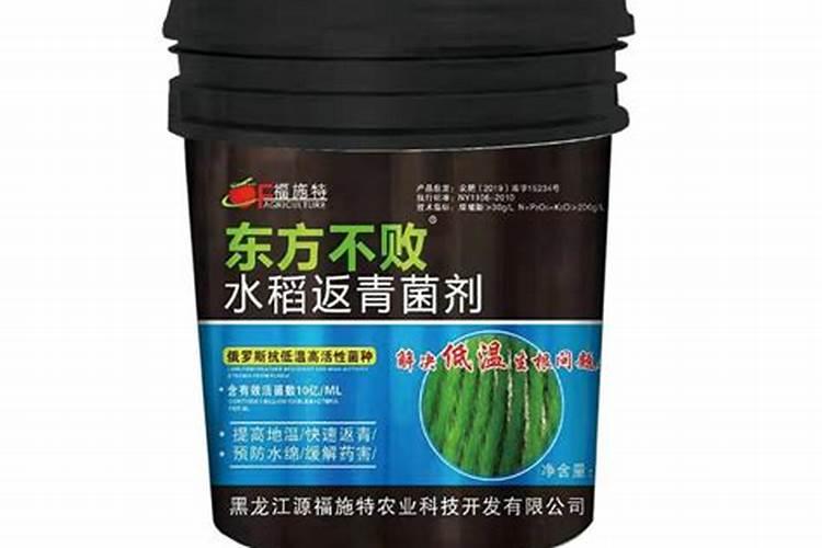 辣椒使用什么肥料最好