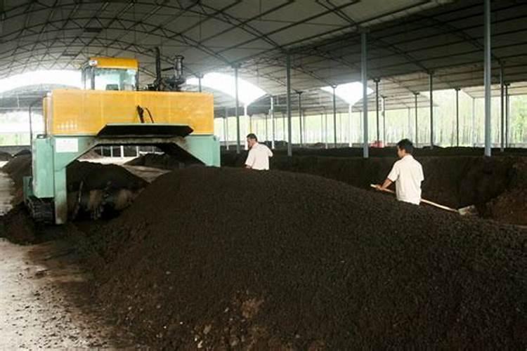 沃生钙和糖醇钙哪种好