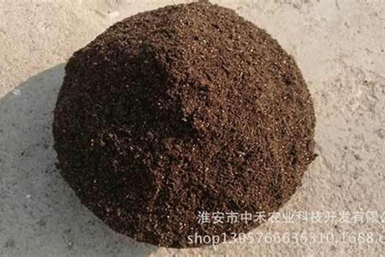 高磷水溶肥什么时候用？