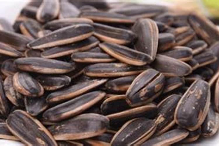 西红柿苗控旺过度怎么办