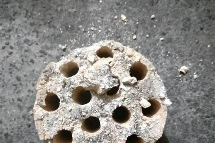 草木灰能当肥料用吗