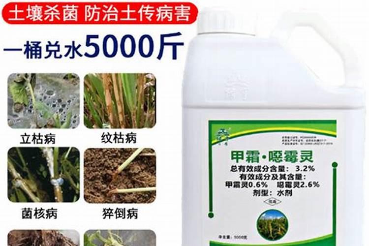 尿素可以与硫酸钾镁肥一块用吗