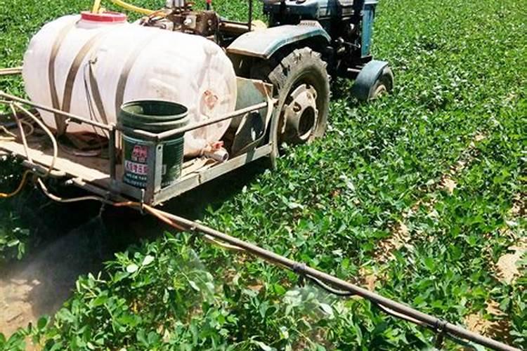 丙环唑有控旺作用,会不会影响根部生长