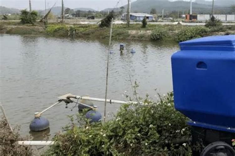 一亩鱼塘用尿素量多少斤,有什么用途