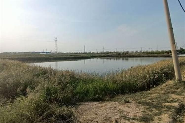 尿素一亩地施多少公斤