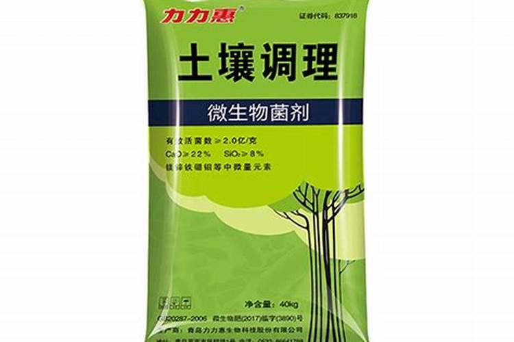 芹菜盐是什么 芹菜盐煎肉的做法