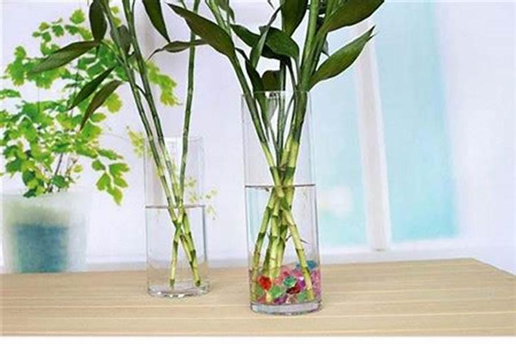 水竹施什么肥料