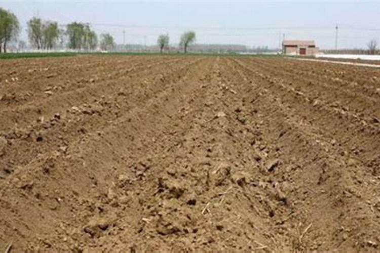 种大豆用什么肥好