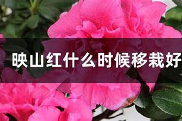 表哥覃进展和肥妞怎么分开了？