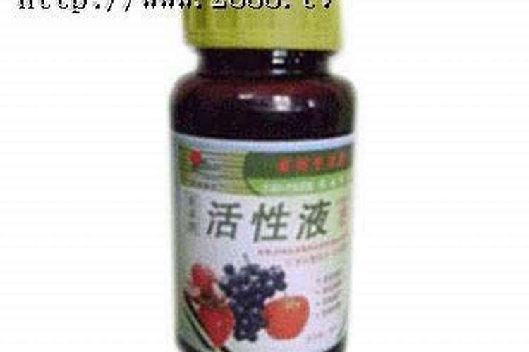 幸福树生了蚜虫怎么办