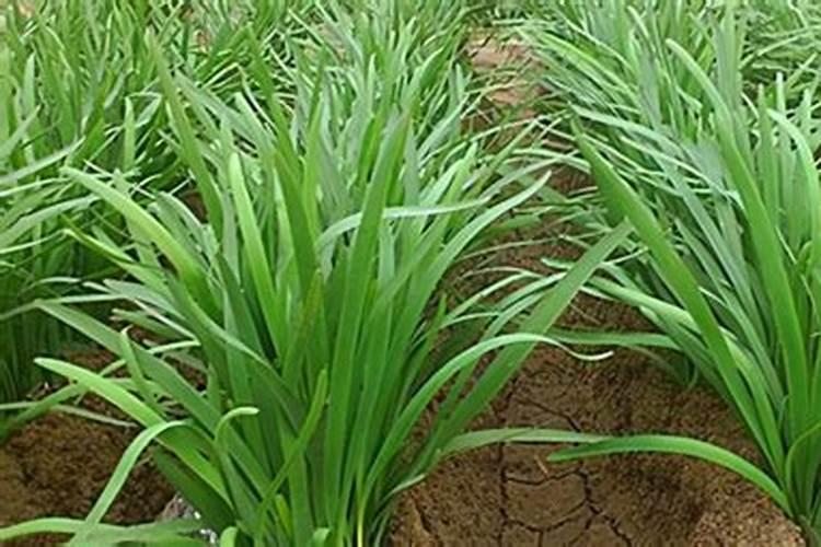 用果汁粉冲果汁怎么弄才能好喝？