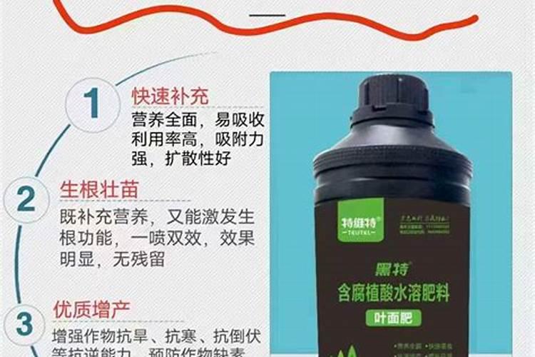 果实套袋有哪些优缺点？