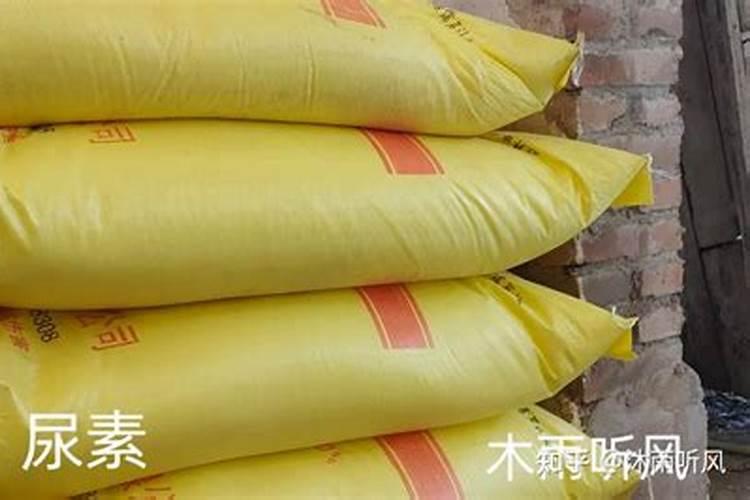 叶面肥什么时候打合适