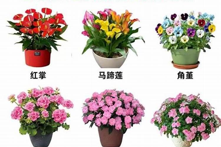 什么是离子强度离子强度有什么用