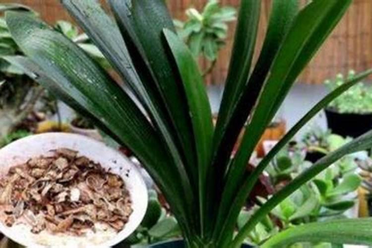 离子强度是什么意思