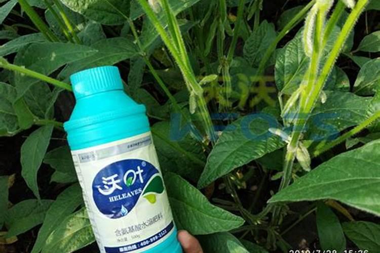 高锰酸钾能做花肥吗？