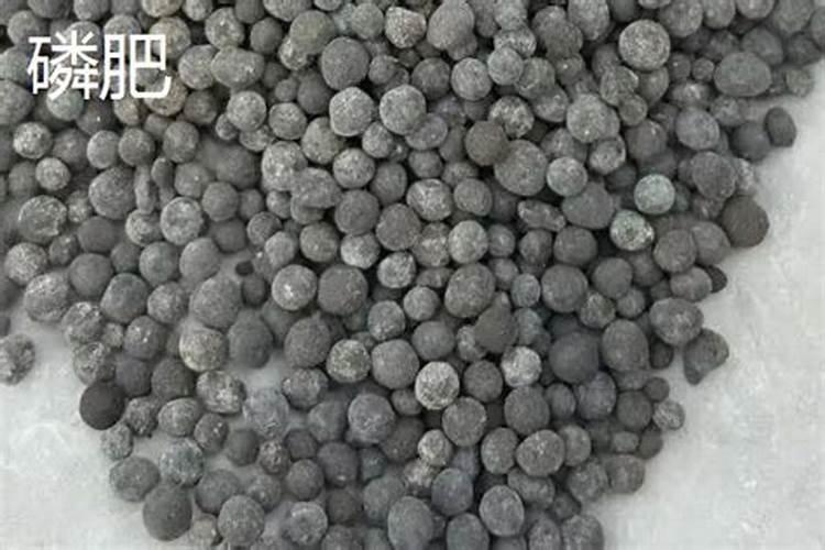 水溶肥是有机肥吗 有机水溶肥是什么肥料