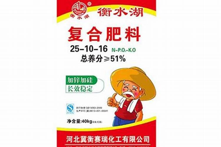 菊花浇水的正确方法菊花浇水的正确方法是什么