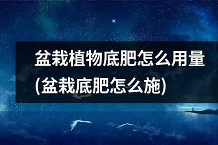 沃柑皮亮是不是打蜡了的沃柑的皮为什么这么亮