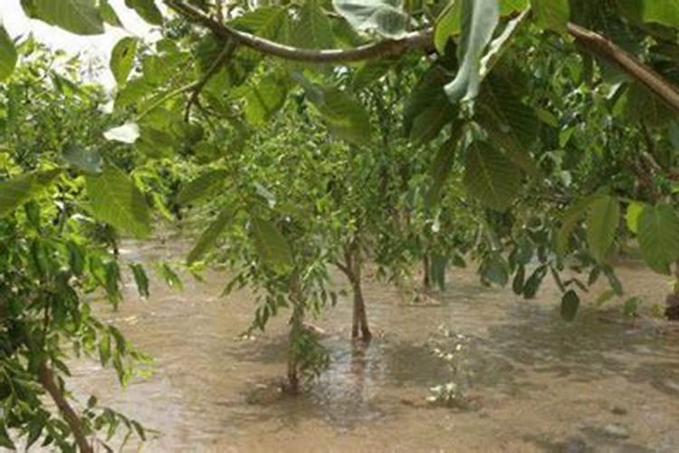 氮磷钾复合肥是什么样的