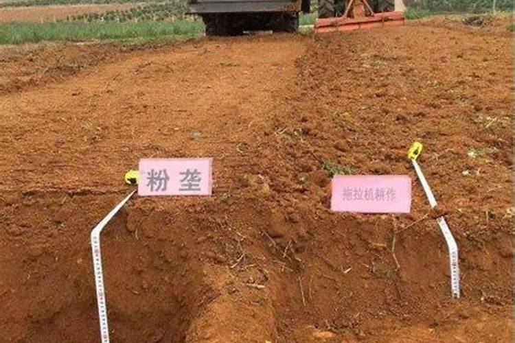 如何正确给蔬菜施加钙肥？