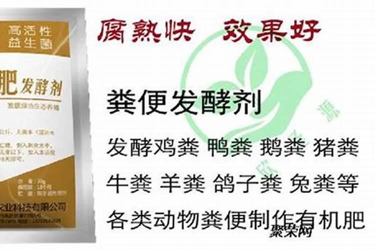 水溶肥的正确使用方法和用量