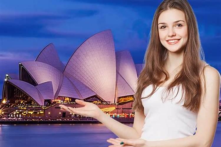 种植葵花成本与利润