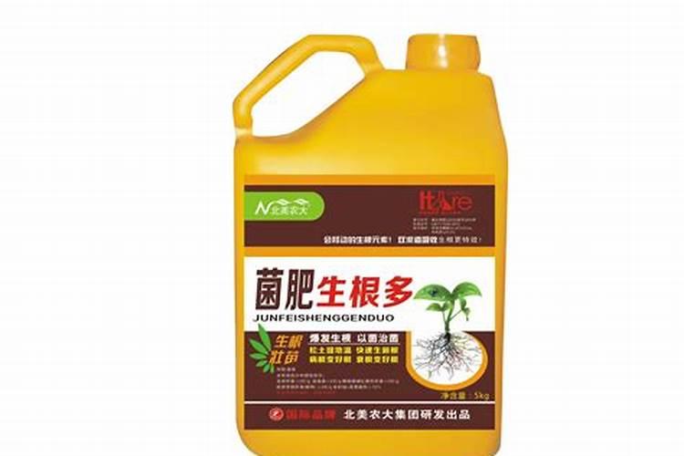 生根壮苗用什么肥料最好