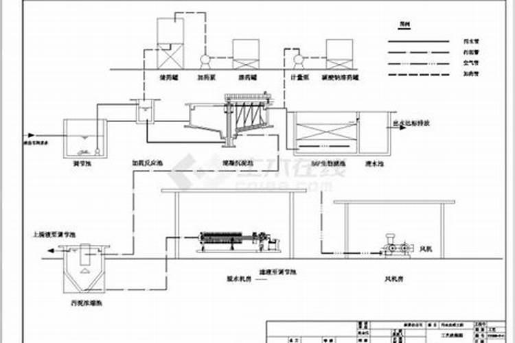 香葱种植后怎样管理