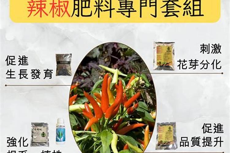 这两种药打油豆角怎么样？