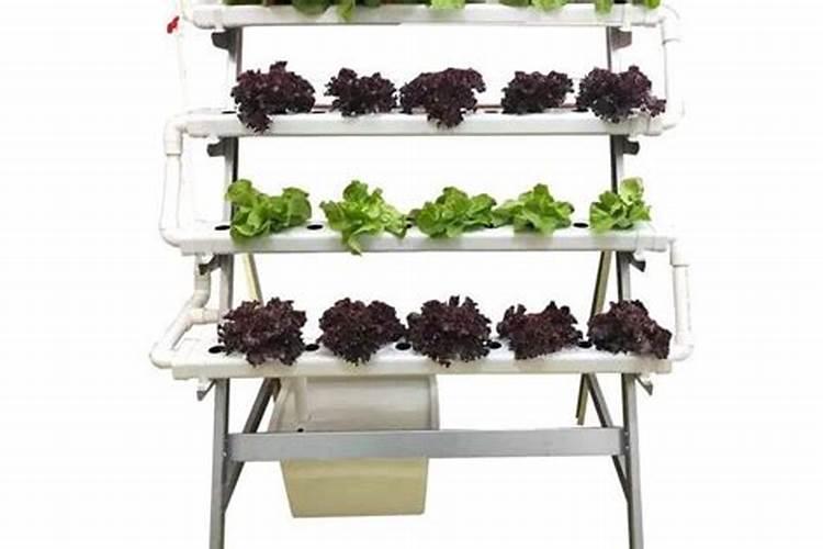 种菜怎么施肥 追加一些肥料