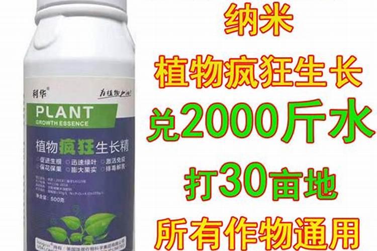 促进根系生长用什么肥料