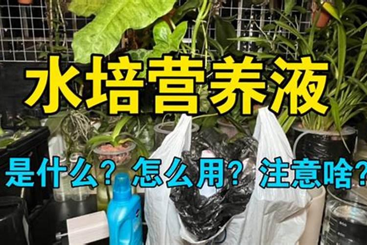 水溶肥是什么肥料