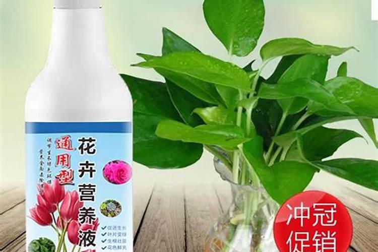 水溶肥是什么肥料