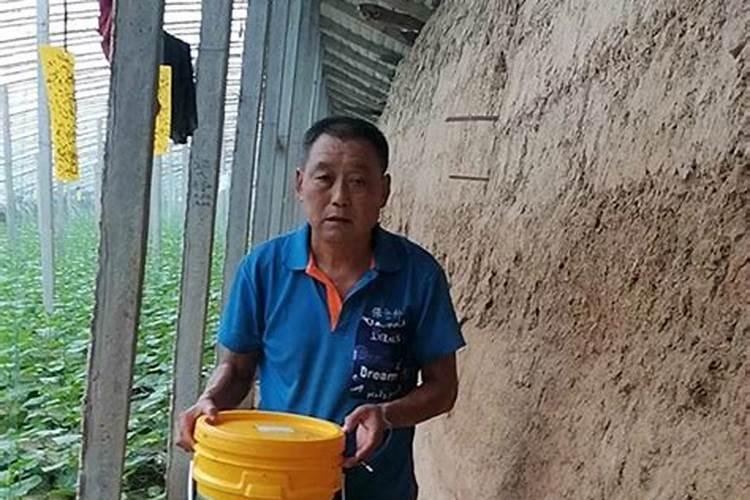 儿童可以喝黑豆水吗