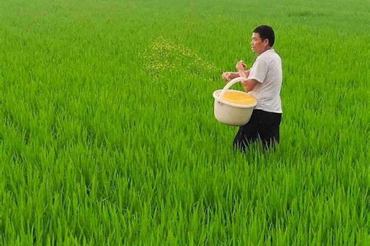 柘城县高新技术企业有哪些公司？