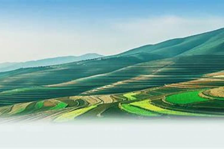 硫铵肥效多少天 硫铵化肥的作用