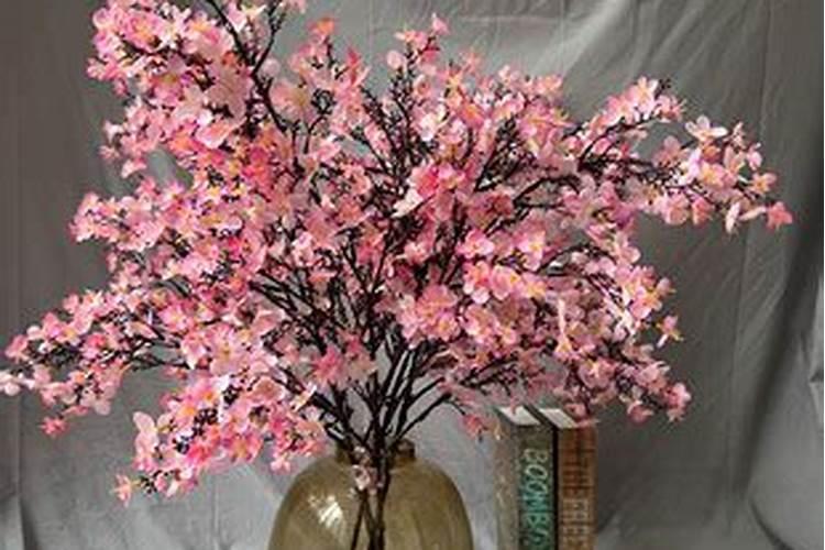 太阳花夏季如何施肥花开满枝头