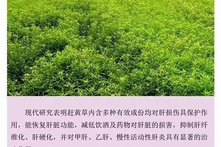 草甘膦加碳酸氢铵可以起到什么作用？
