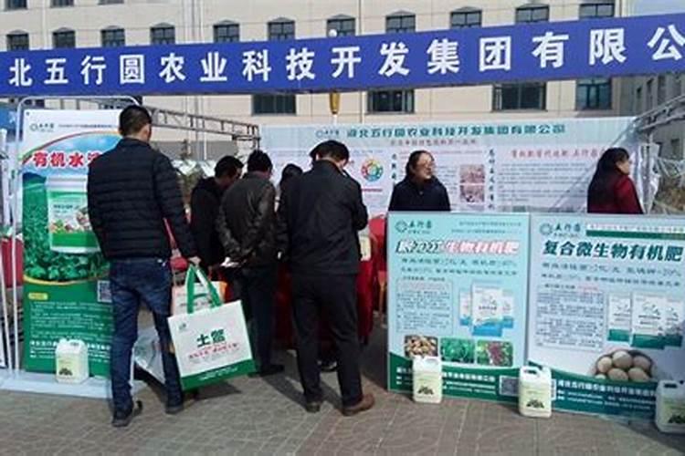 磷肥对玉米的作用及功能