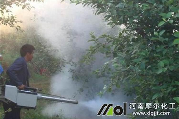 种植韭菜应该上什么肥料呢？怎么才能让韭菜长的黑亮又粗壮？