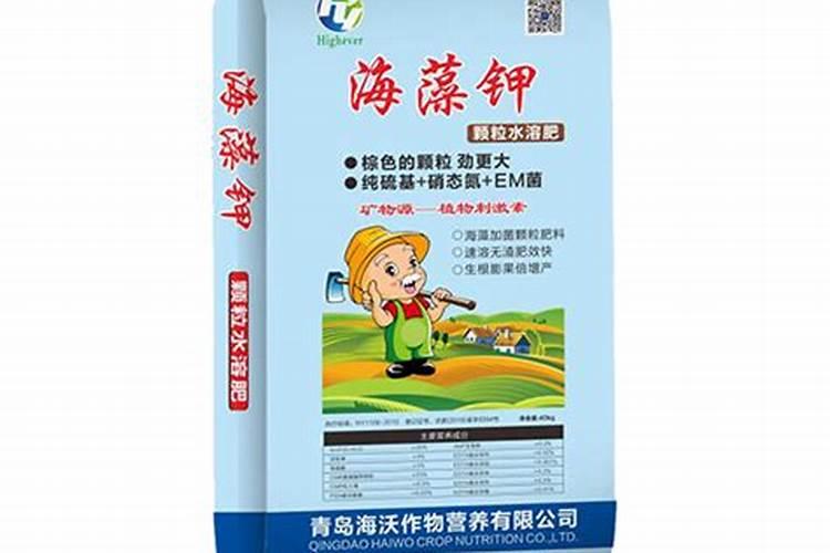 凌霄花大量掉叶怎么办