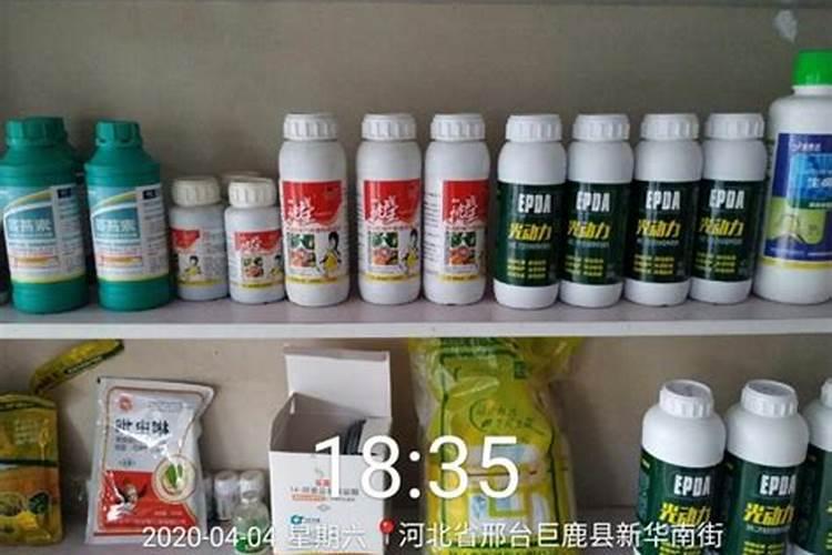 甘草都种植在那些地方