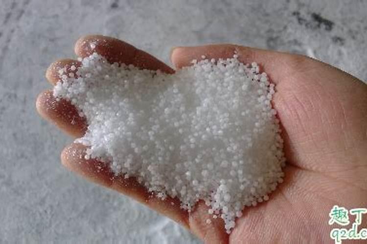 芦荟用什么肥料长得快