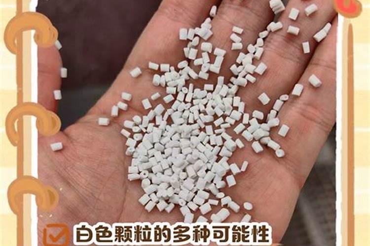 硼砂是什么东西