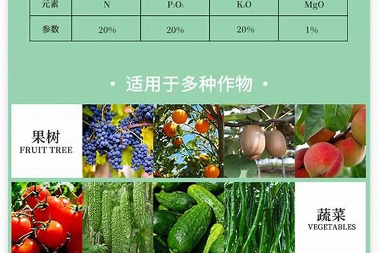 种菜最好的肥料是什么,种青菜用尿素还是复合肥