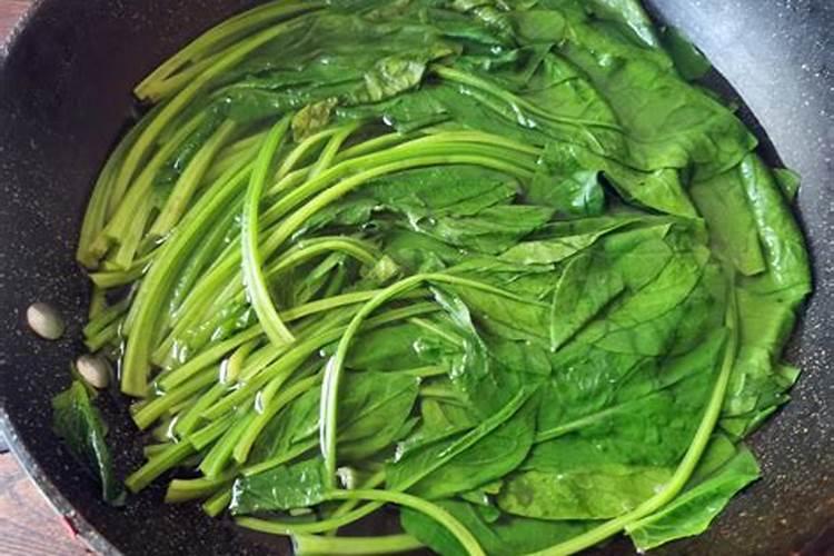 啤酒可以浇菜吗